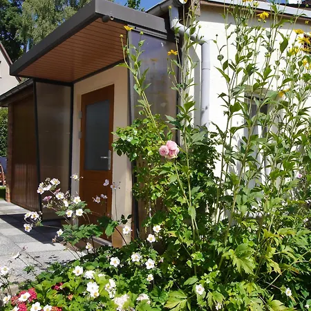 Hébergement de vacances Bungalow *